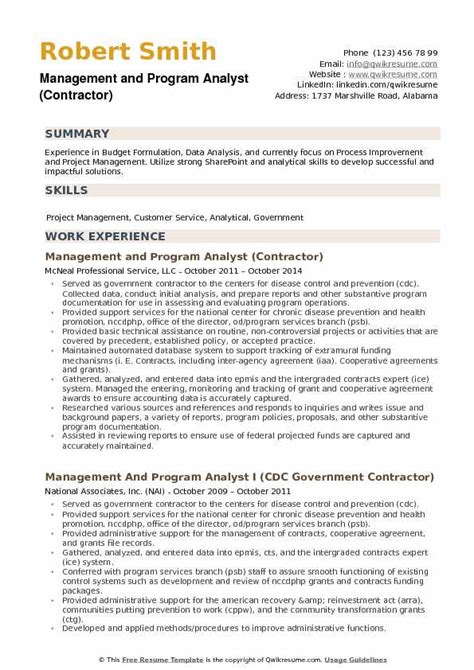 program analyst resume