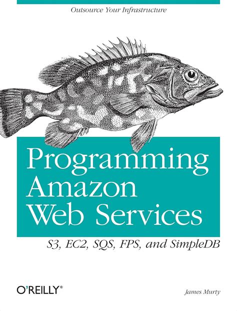 programming amazon web services s3 ec2 sqs fps and simpledb Doc