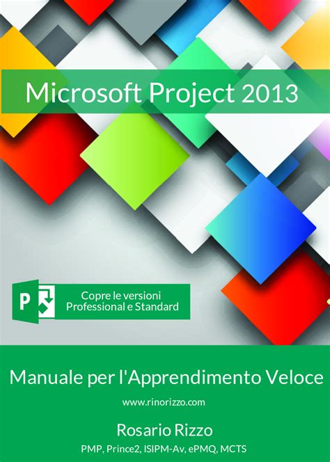project 2013 in depth PDF