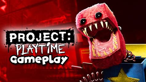 Project Playtime Game