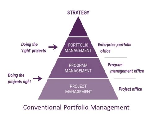 project portfolio management leading the corporate vision PDF
