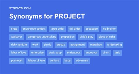Projects Synonym