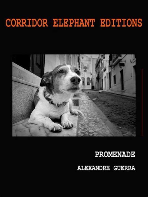 promenade livre photographique alexandre guerra ebook PDF