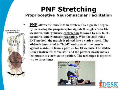 proprioceptive neuromuscular facilitation patterns and techniques Reader