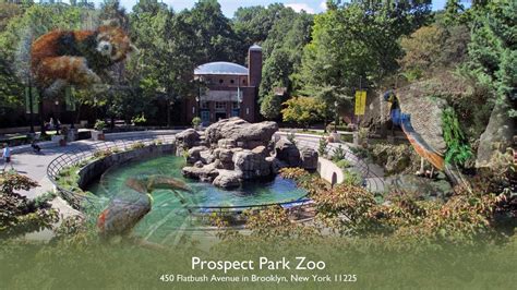 prospect park zoo new york