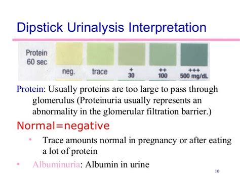 protein in urine abnormal