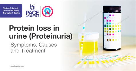 protein in urine symptoms