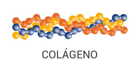 proteina de colageno