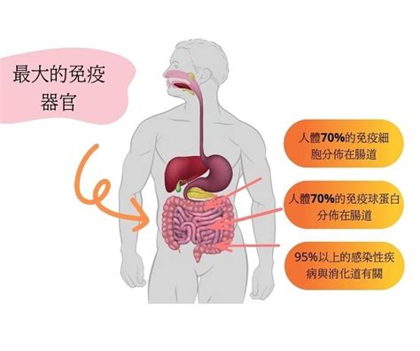 protexin 益生菌：什麼是益生菌？