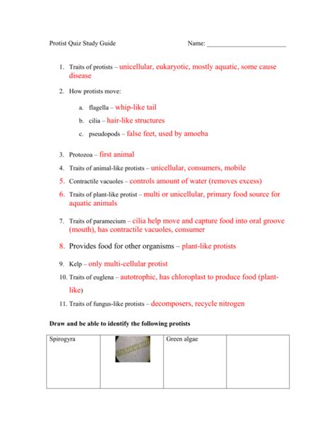protists reinforcement and study guide key Kindle Editon