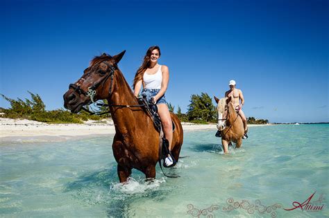 provo ponies in turks and caicos