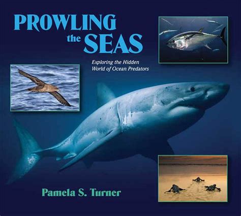 prowling the seas exploring the hidden world of ocean predators Epub