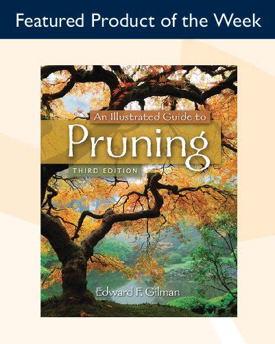 pruning an illustrated guide pruning an illustrated guide PDF