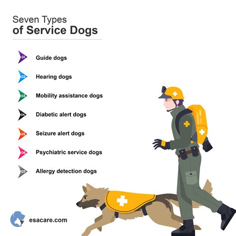 psychiatric service dog for anxiety