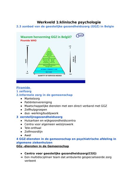 psychologie hoofdzaken van de zielkunde Epub