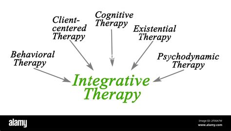 psychotherapy integration theories of psychotherapy PDF