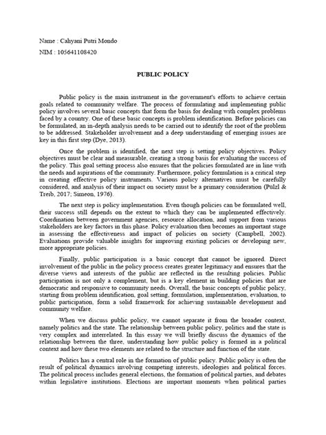 public policy essay example PDF