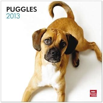 puggles 2013 square 12x12 wall calendar Epub