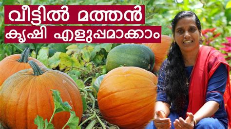 pumpkin meaning in malayalam