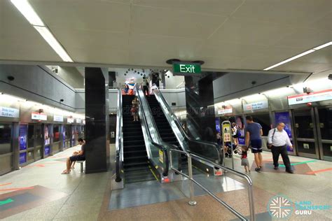 punggol mrt to dhoby ghaut mrt