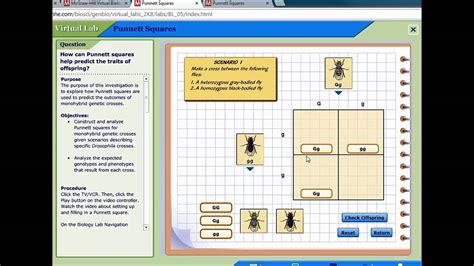 punnett square virtual lab answers mcgraw PDF