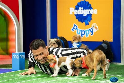 puppy bowl 2024 lineup