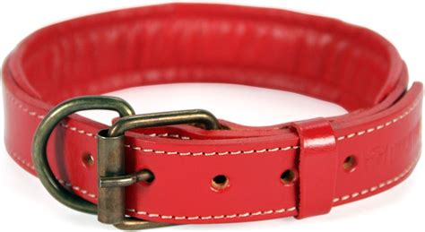 puppy collar red