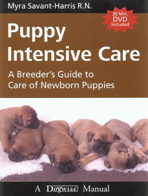 puppy intensive care puppy intensive care Epub