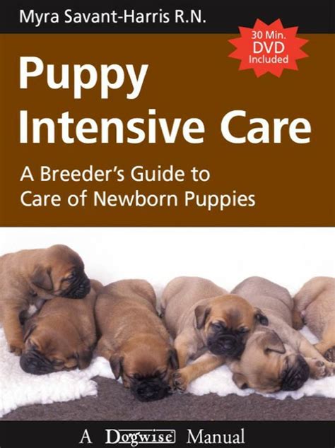 puppy intensive care puppy intensive care Epub