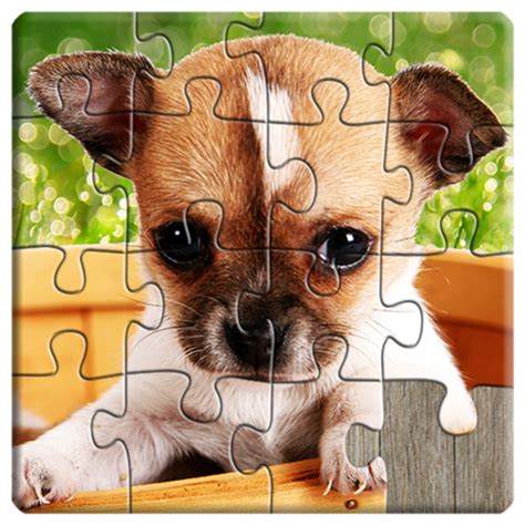 puppy puzzle