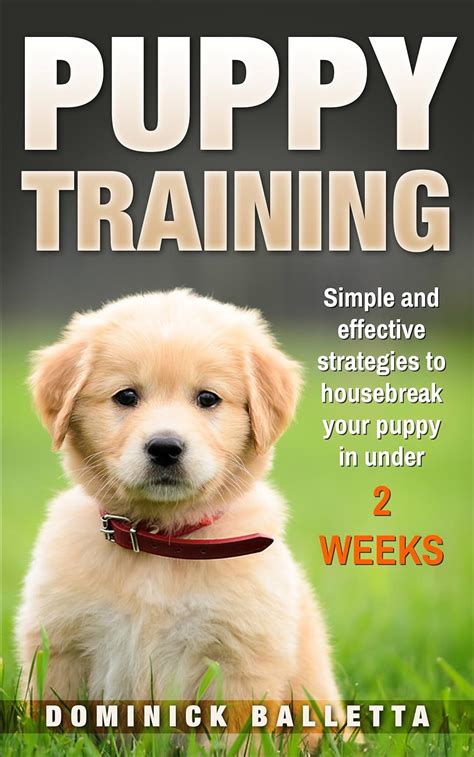 puppy training strategies housebreaking obedience Reader