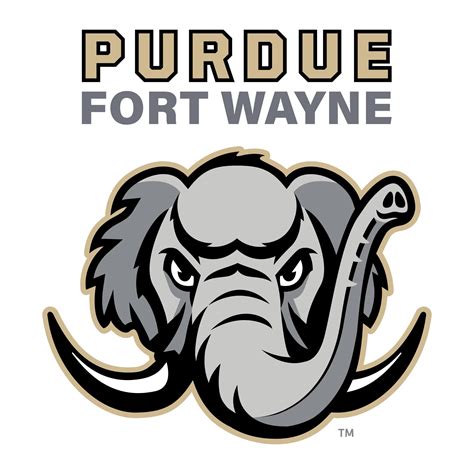 purdue fort wayne online