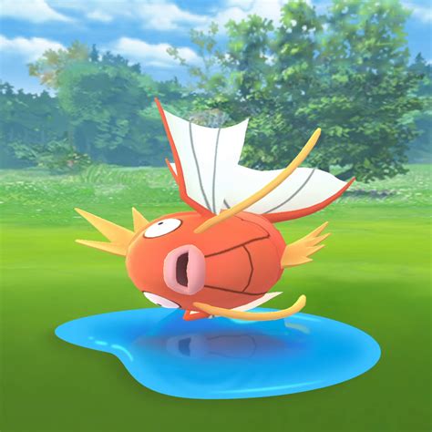 purify magikarp pokemon go