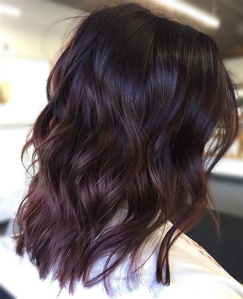 purple brown hair