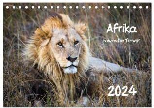 putzige tierwelt afrikas tischkalender 2016 PDF