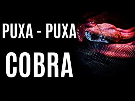 puxada da cobra