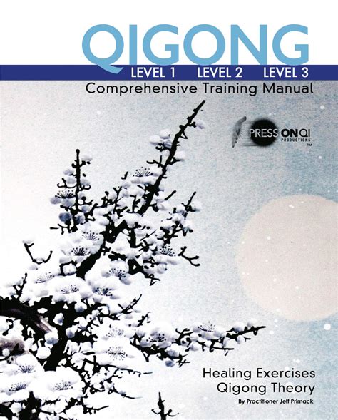 qigong comprehensive training manual Reader