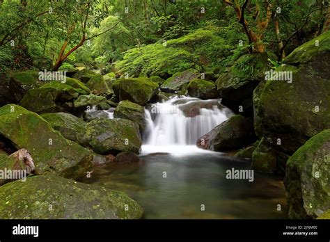 qingshan falls