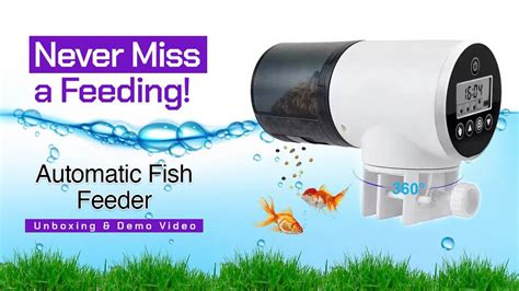 qpets automatic feeder instructions Epub