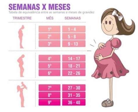 quantos meses são 31 semanas de gravidez