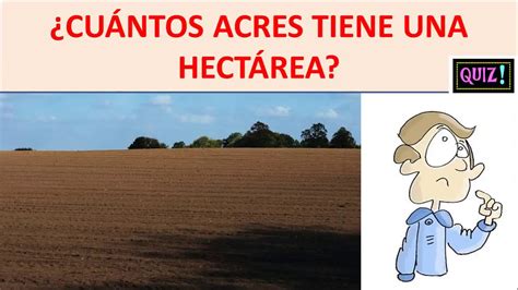 que es mas grande un acre o una hectarea