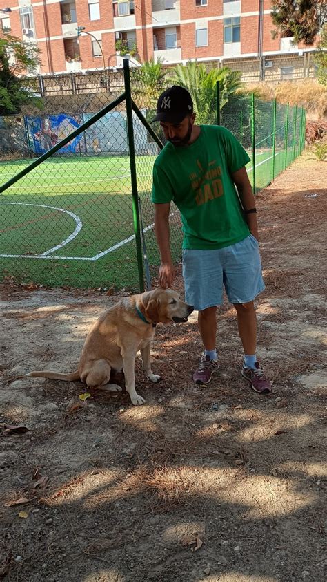 quelli che il cane quelli che il cane Reader