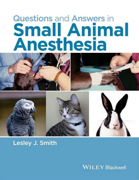 questions answers small animal anesthesia PDF