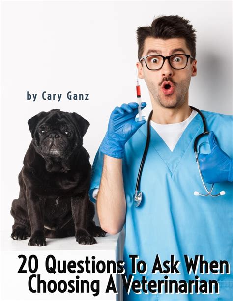 questions to ask a veterinarian