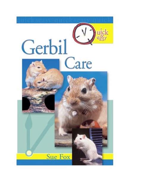 quick and easy gerbil care Reader