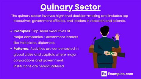 quinary sector ap human geography