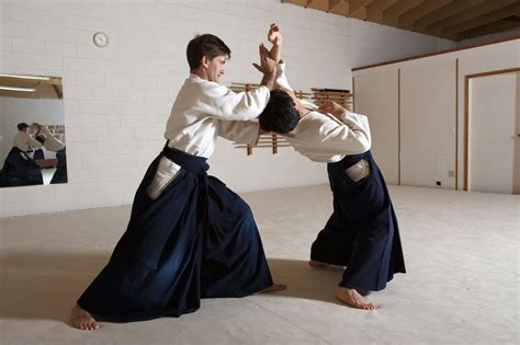 quintessence of classical japanese martial arts Kindle Editon