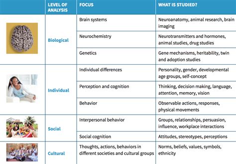 quizlet psychology chapter 4 PDF