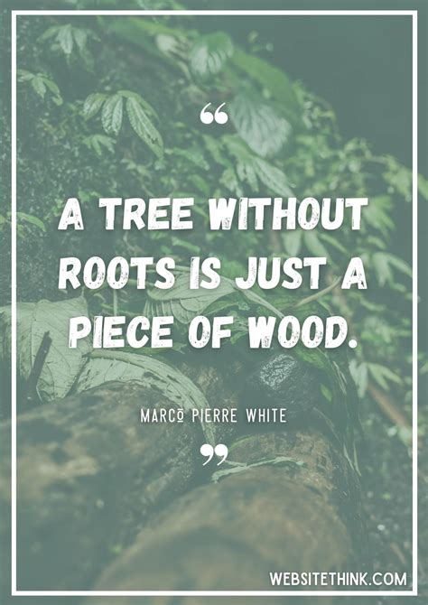 quote about roots to big for pot