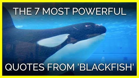 quote from blackfish talking about floppy fins